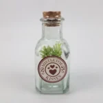 Target Bullseye Playground MISTLETOE KISSES Christmas Potion Bottle