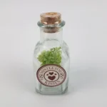 Target Bullseye Playground