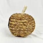 Medium Braided Woven Pumpkin Decor Target Threshold Fall/Autumn Handcrafted 2023
