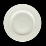 Pier 1 Imports NEW ESSENTIAL COUPE Salad Plate