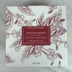 Williams Sonoma Winter Berry 3-Wick Scented Candle 15.8oz Red Glass