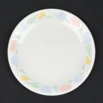 Corelle (Corning) FRIENDSHIP Dinner Plate