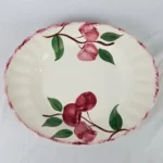 Blue Ridge Southern Pottery CRAB APPLE 11" Oval Serving Platter