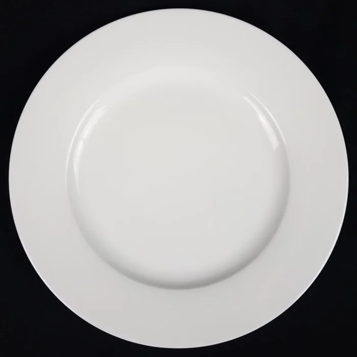 Fitz and Floyd EVERYDAY WHITE Dinner Plate Larry's Basement