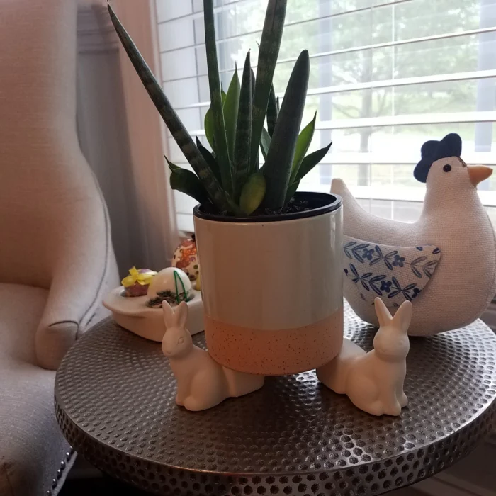 Bunny Plant Figurals Target Bullseye Playground Easter Larry S Basement